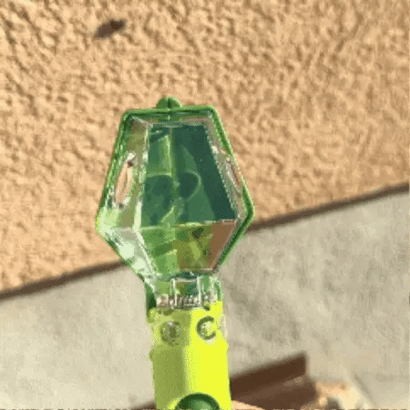 The Bug Buddy™